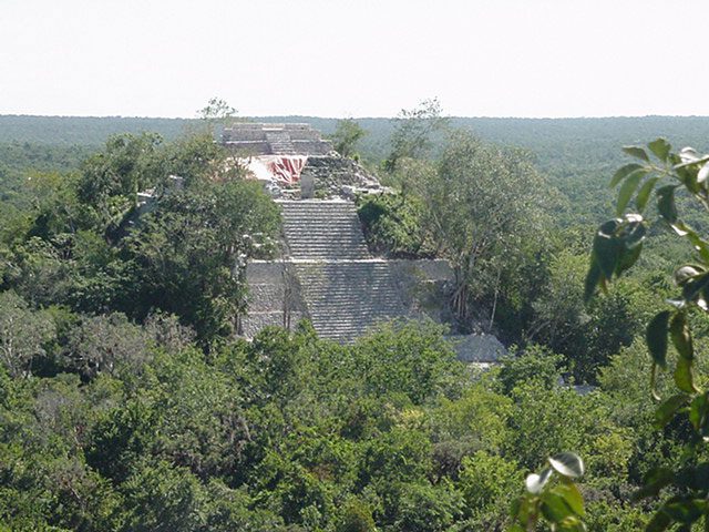 a maya temple in the forest